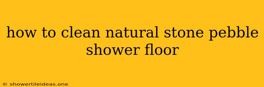 How To Clean Natural Stone Pebble Shower Floor