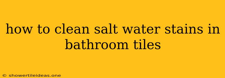 How To Clean Salt Water Stains In Bathroom Tiles