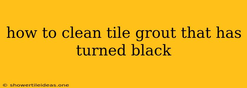 How To Clean Tile Grout That Has Turned Black