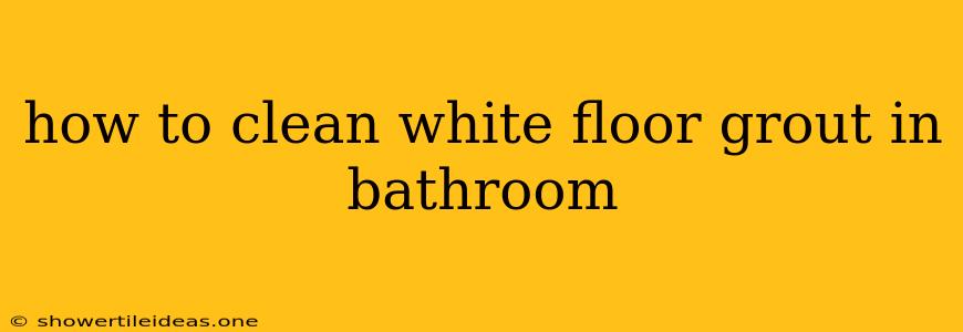 How To Clean White Floor Grout In Bathroom