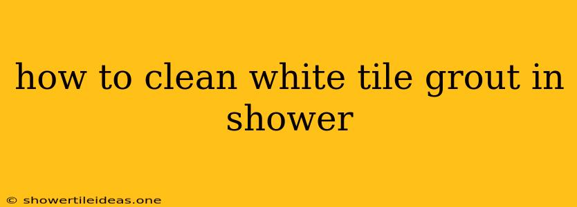 How To Clean White Tile Grout In Shower