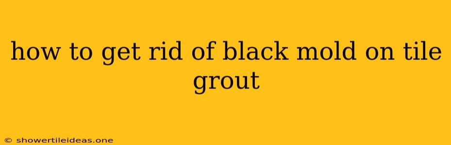 How To Get Rid Of Black Mold On Tile Grout