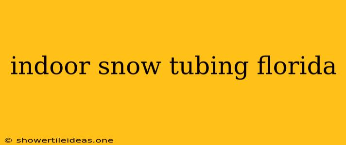 Indoor Snow Tubing Florida