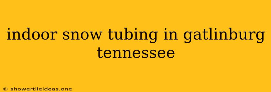 Indoor Snow Tubing In Gatlinburg Tennessee