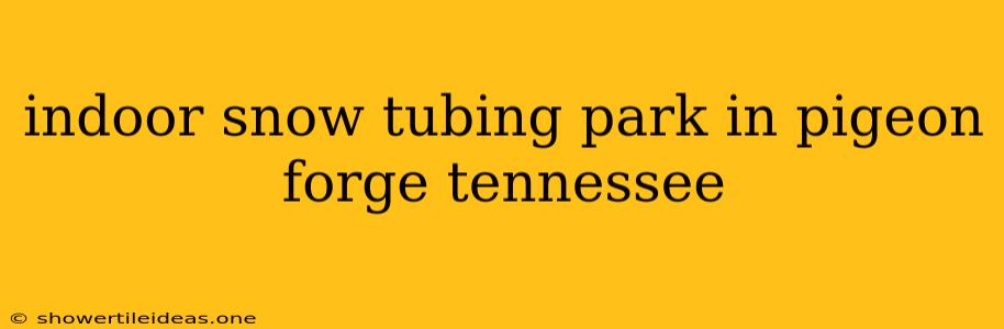 Indoor Snow Tubing Park In Pigeon Forge Tennessee