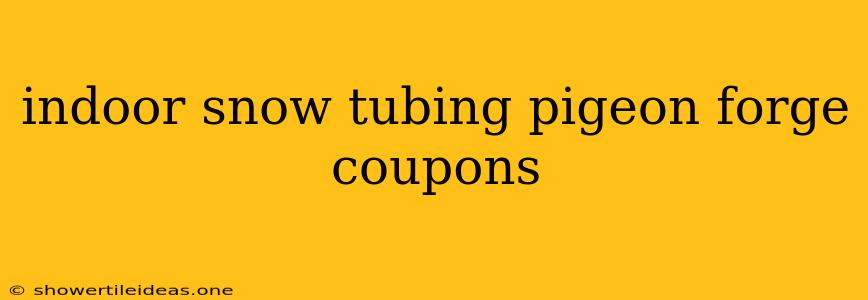 Indoor Snow Tubing Pigeon Forge Coupons