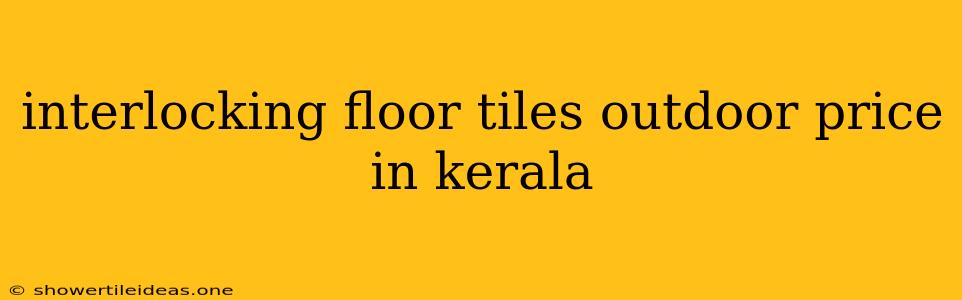 Interlocking Floor Tiles Outdoor Price In Kerala