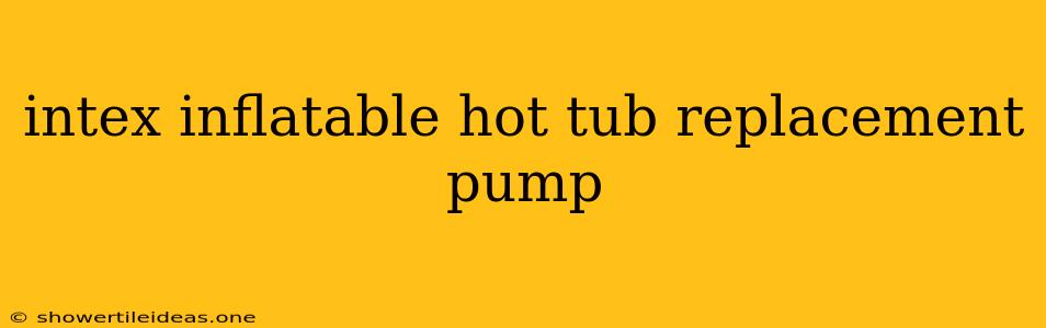 Intex Inflatable Hot Tub Replacement Pump