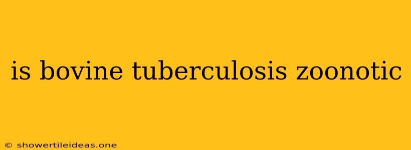 Is Bovine Tuberculosis Zoonotic