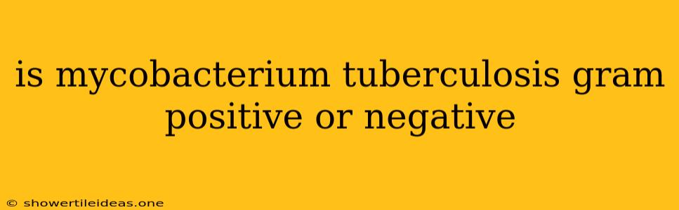 Is Mycobacterium Tuberculosis Gram Positive Or Negative