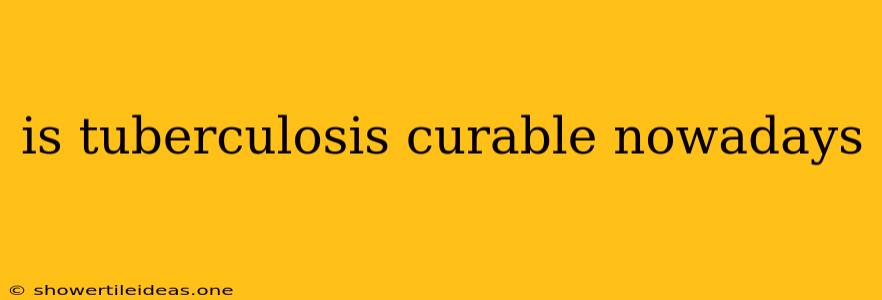 Is Tuberculosis Curable Nowadays