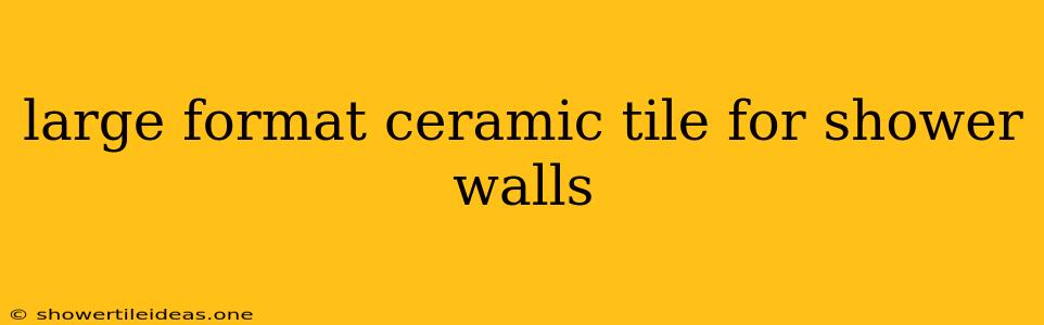 Large Format Ceramic Tile For Shower Walls