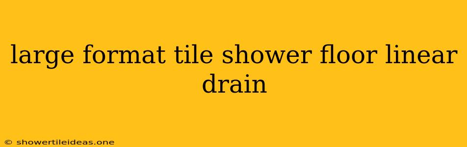 Large Format Tile Shower Floor Linear Drain