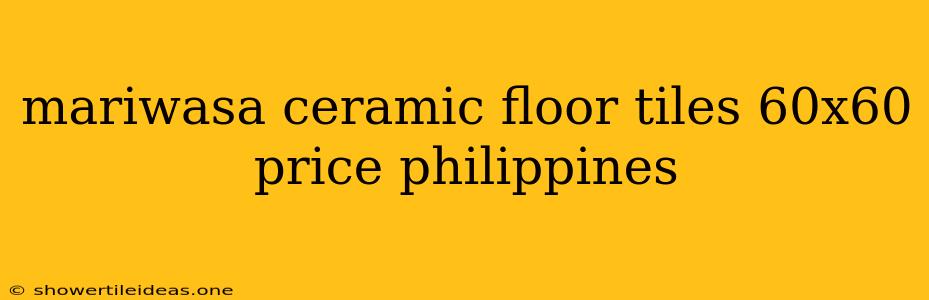 Mariwasa Ceramic Floor Tiles 60x60 Price Philippines