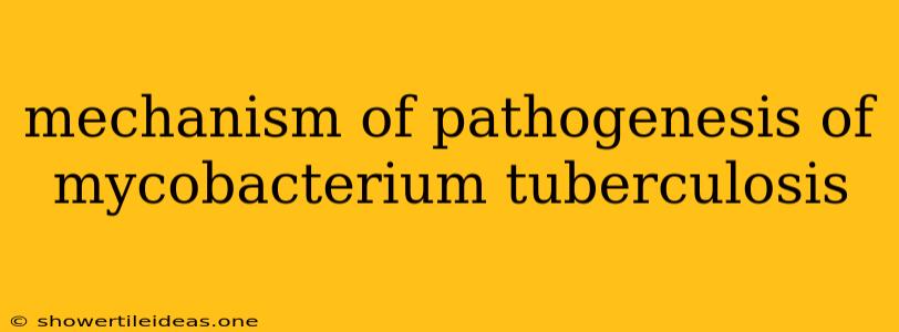 Mechanism Of Pathogenesis Of Mycobacterium Tuberculosis