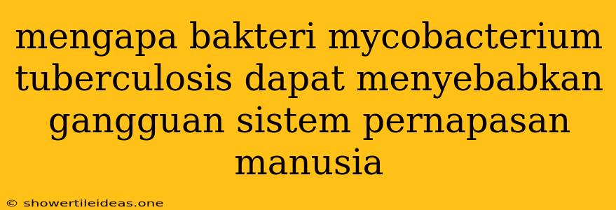 Mengapa Bakteri Mycobacterium Tuberculosis Dapat Menyebabkan Gangguan Sistem Pernapasan Manusia