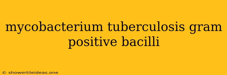 Mycobacterium Tuberculosis Gram Positive Bacilli