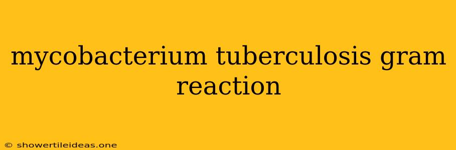 Mycobacterium Tuberculosis Gram Reaction