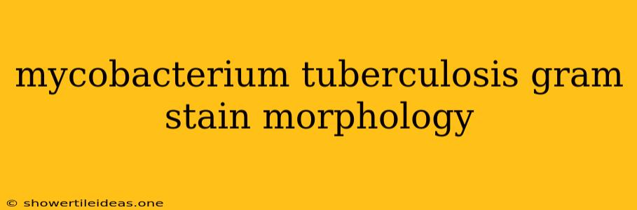 Mycobacterium Tuberculosis Gram Stain Morphology