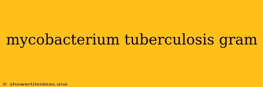 Mycobacterium Tuberculosis Gram