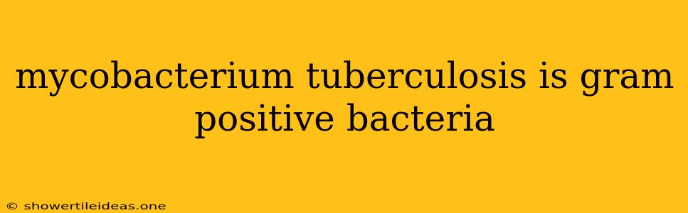 Mycobacterium Tuberculosis Is Gram Positive Bacteria