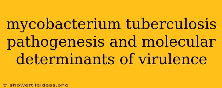 Mycobacterium Tuberculosis Pathogenesis And Molecular Determinants Of Virulence