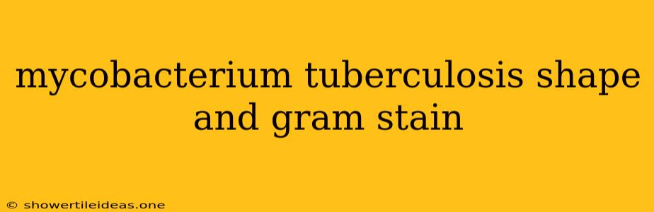 Mycobacterium Tuberculosis Shape And Gram Stain