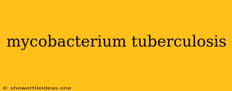 Mycobacterium Tuberculosis