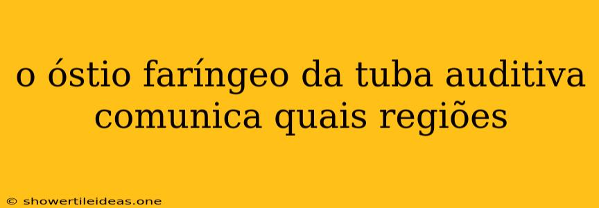 O Óstio Faríngeo Da Tuba Auditiva Comunica Quais Regiões