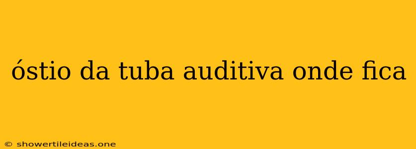 Óstio Da Tuba Auditiva Onde Fica