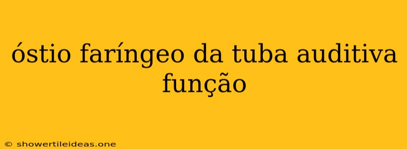 Óstio Faríngeo Da Tuba Auditiva Função