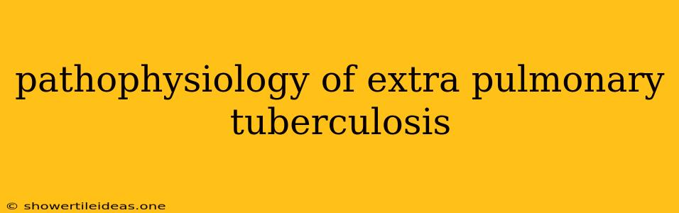 Pathophysiology Of Extra Pulmonary Tuberculosis