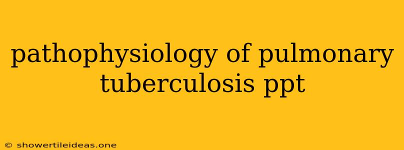 Pathophysiology Of Pulmonary Tuberculosis Ppt