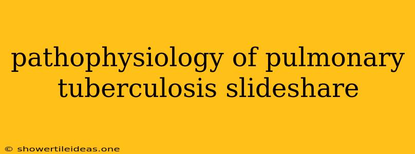 Pathophysiology Of Pulmonary Tuberculosis Slideshare