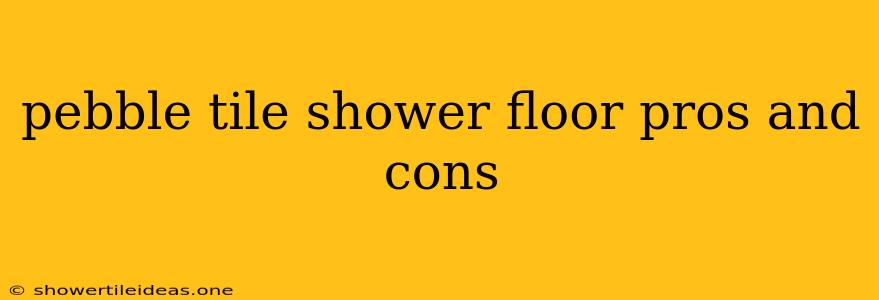 Pebble Tile Shower Floor Pros And Cons