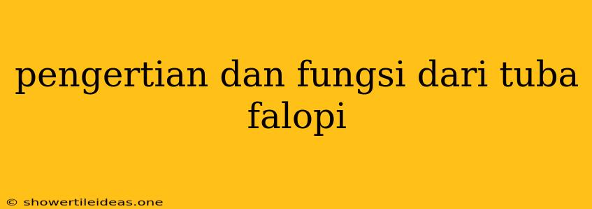 Pengertian Dan Fungsi Dari Tuba Falopi