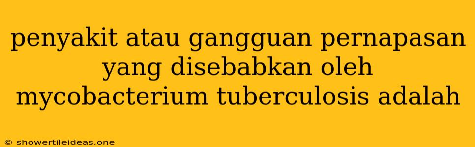 Penyakit Atau Gangguan Pernapasan Yang Disebabkan Oleh Mycobacterium Tuberculosis Adalah