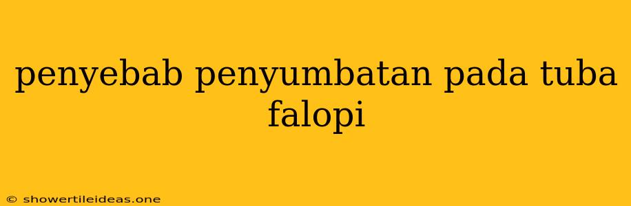 Penyebab Penyumbatan Pada Tuba Falopi