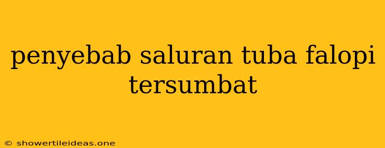 Penyebab Saluran Tuba Falopi Tersumbat