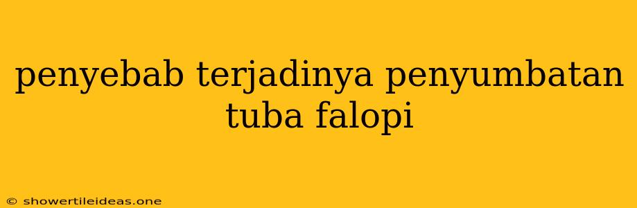 Penyebab Terjadinya Penyumbatan Tuba Falopi