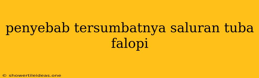 Penyebab Tersumbatnya Saluran Tuba Falopi