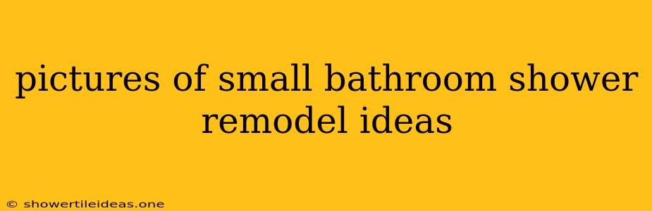 Pictures Of Small Bathroom Shower Remodel Ideas