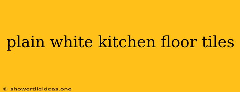 Plain White Kitchen Floor Tiles