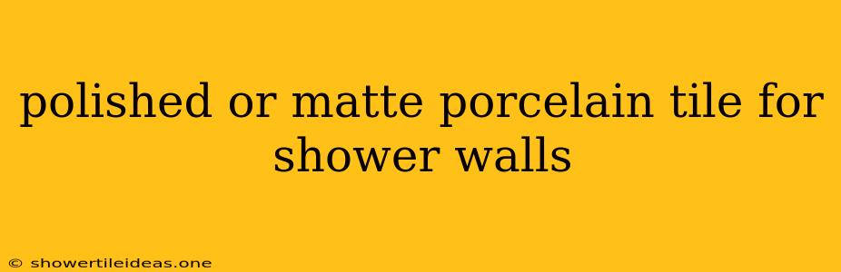 Polished Or Matte Porcelain Tile For Shower Walls