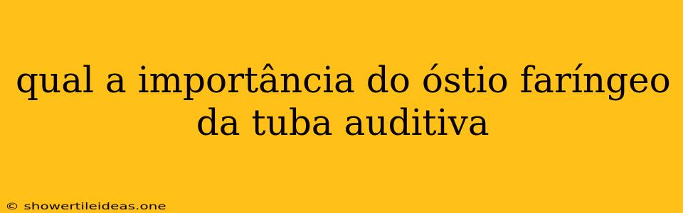 Qual A Importância Do Óstio Faríngeo Da Tuba Auditiva