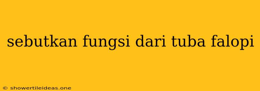 Sebutkan Fungsi Dari Tuba Falopi