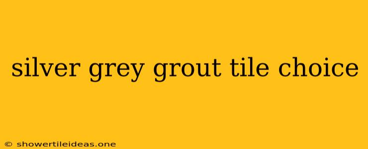 Silver Grey Grout Tile Choice