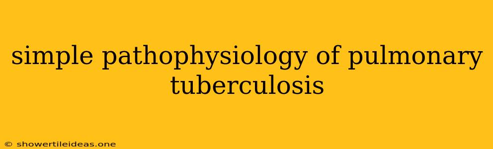 Simple Pathophysiology Of Pulmonary Tuberculosis