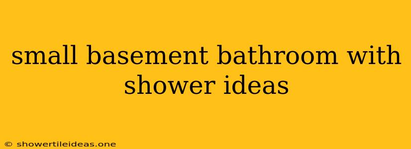 Small Basement Bathroom With Shower Ideas