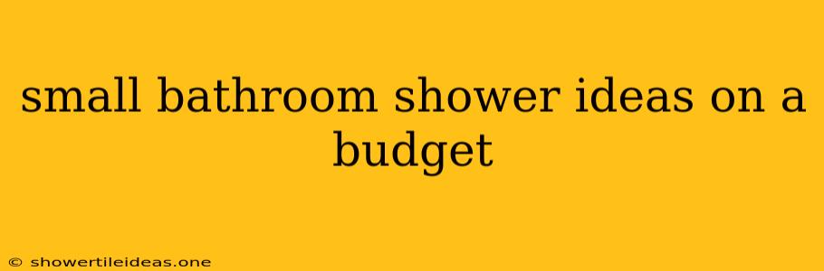 Small Bathroom Shower Ideas On A Budget